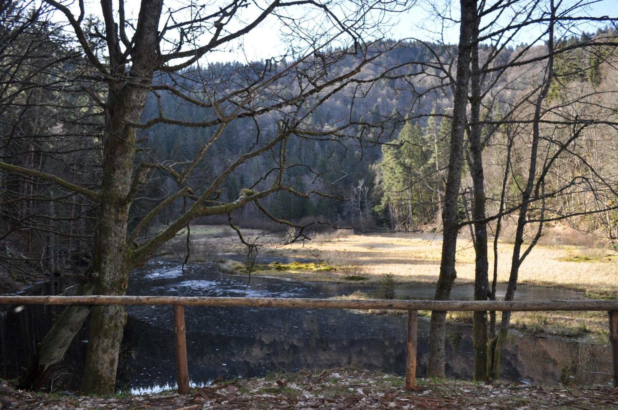 Auberge De L'Etang Du Devin Lapoutroie Extérieur photo