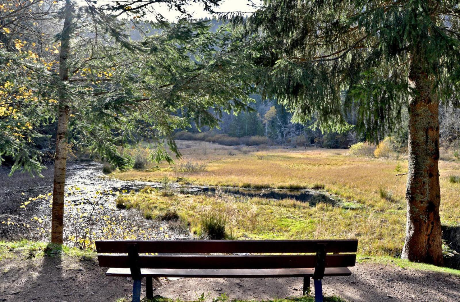 Auberge De L'Etang Du Devin Lapoutroie Extérieur photo